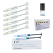 RESINA SPECTRA SMART C/6 PZAS DENTSPLY