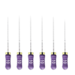 Juego de Limas C+ ReadySteel Dentsply #10 25 mm