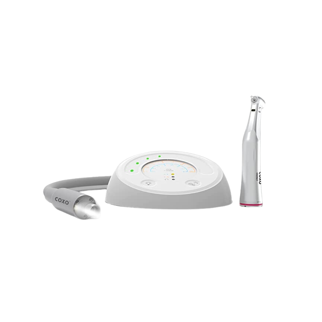 MOTOR ELECTRICO C-PUMA MINI COXO