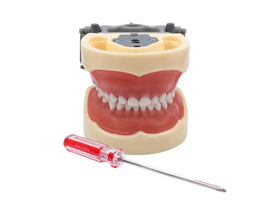 TIPODONTO TIPO NISSIN INFANTIL MOD.DF-200P PRIME DENT