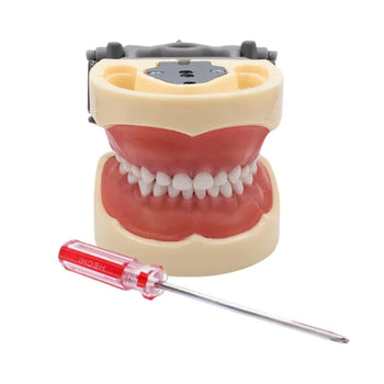 TIPODONTO TIPO NISSIN INFANTIL MOD.DF-200P PRIME DENT