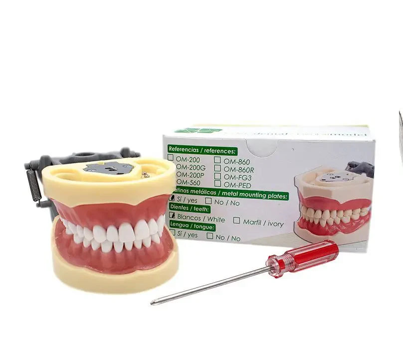 TIPODONTO TIPO NISSIN ADULTO PRIME DENT