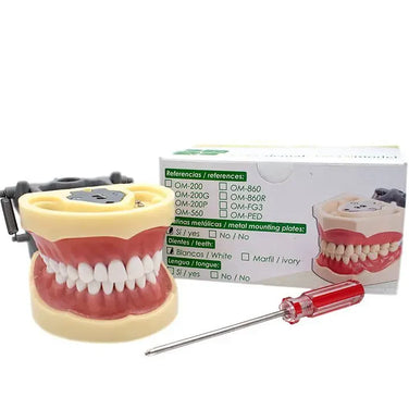 TIPODONTO TIPO NISSIN ADULTO PRIME DENT